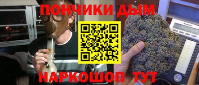 шишки Камышлов