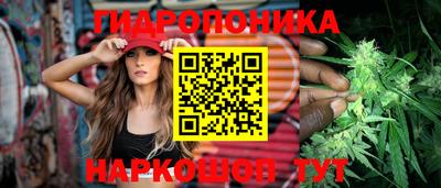 шишки Камышлов