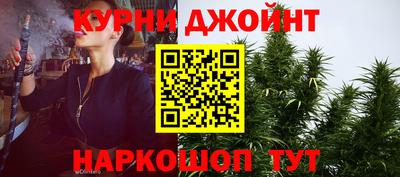 шишки Камышлов