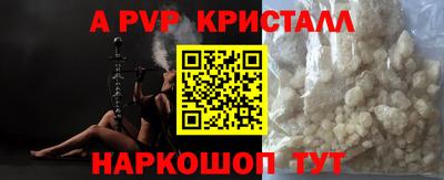 шишки Камышлов