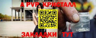шишки Камышлов
