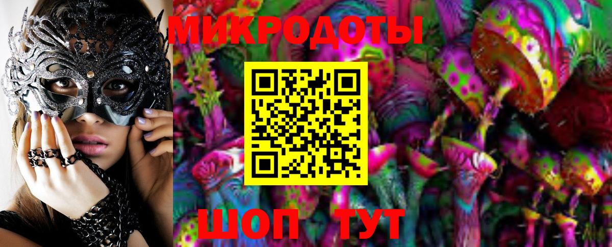Псилоцибиновые грибы Cubensis Балашов
